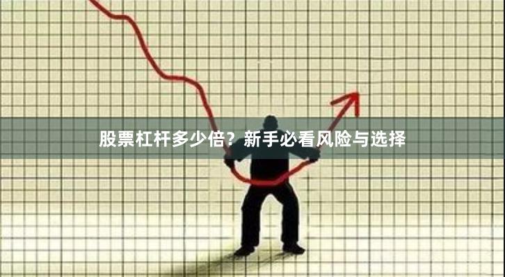 股票杠杆多少倍？新手必看风险与选择