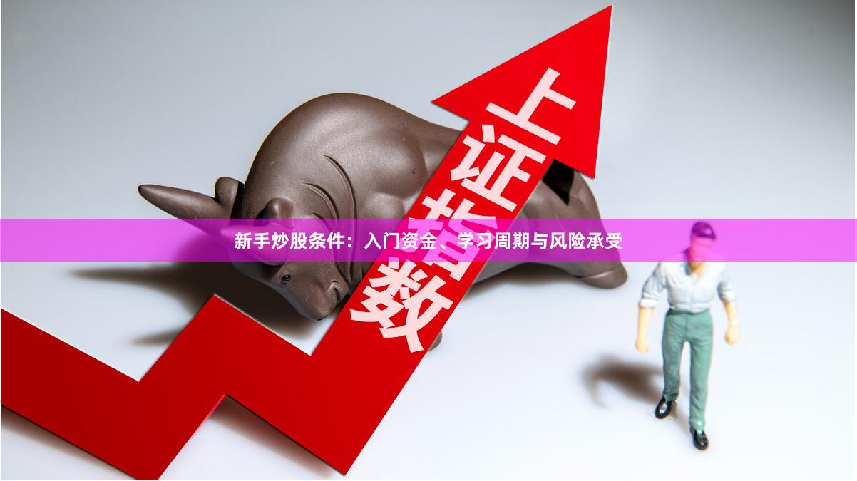 新手炒股条件:入门资金、学习周期与风险承受