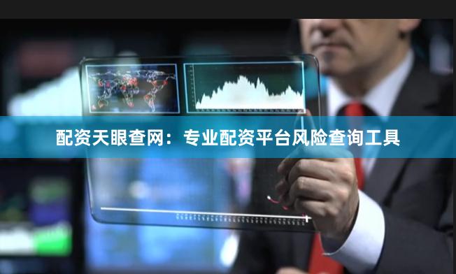 配资天眼查网：专业配资平台风险查询工具
